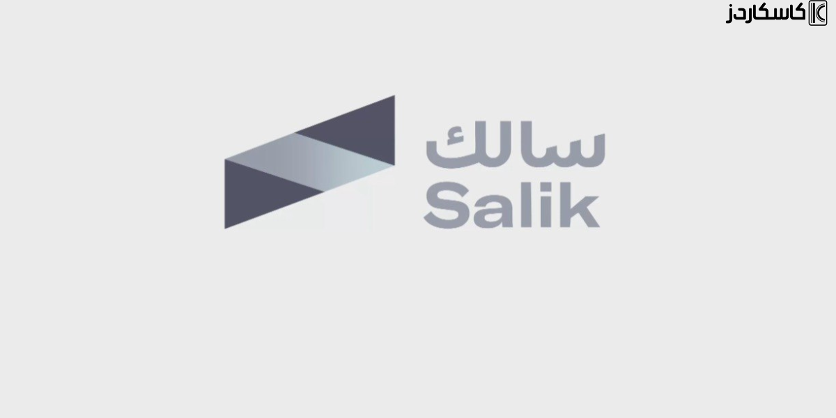 ما هو نظام سالك؟